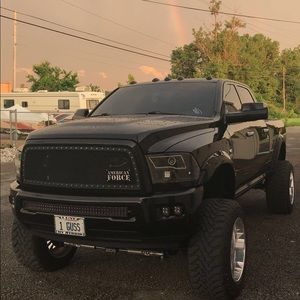 Meet your Posher, Gus